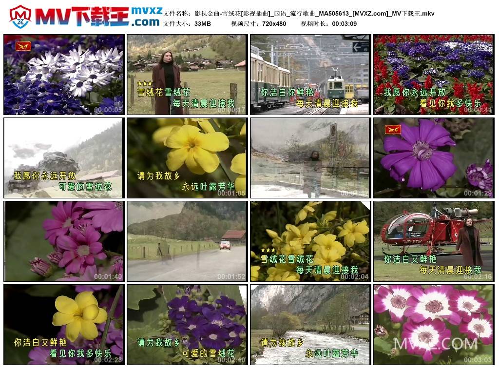 影视金曲-雪绒花[影视插曲]_国语_流行歌曲_MA505613
